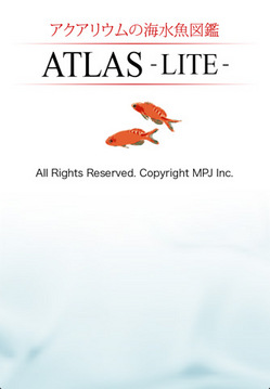 atlas_lite_01.jpg