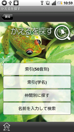 kaeru_02.png