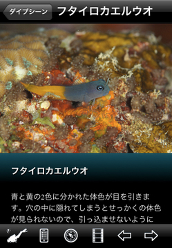 okinawa_kerama_02.jpg