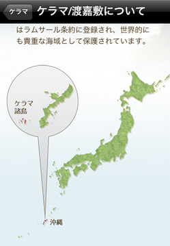 okinawa_kerama_04.jpg