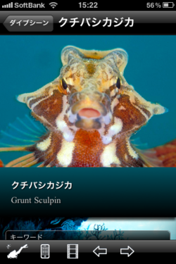 tohoku_tokubetsu_02.png