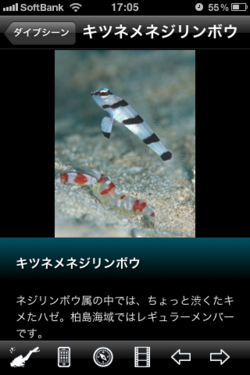 tosa_kashiwa_05.png