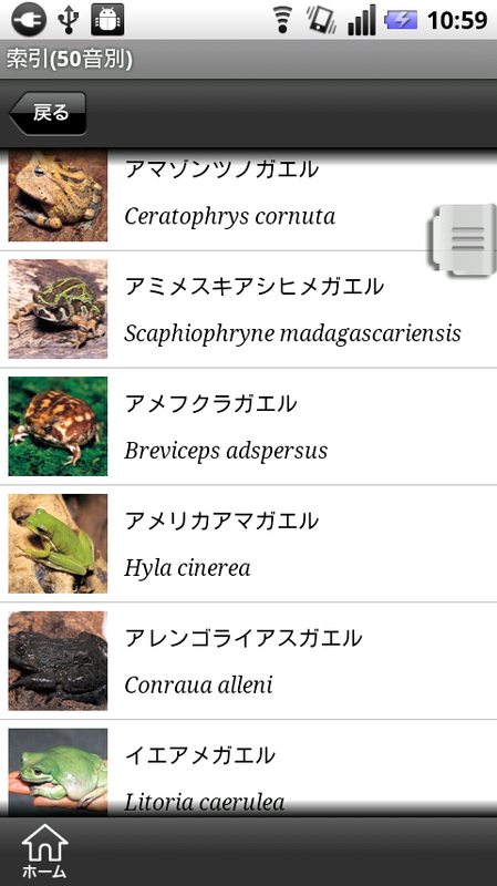 http://info.abw.co.jp/apps/uploads/production/kaeru_03.png