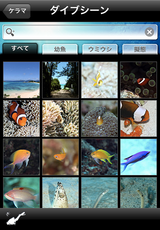 http://info.abw.co.jp/apps/uploads/production/okinawa_kerama_05.jpg