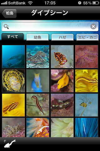 http://info.abw.co.jp/apps/uploads/production/tosa_kashiwa_02.png